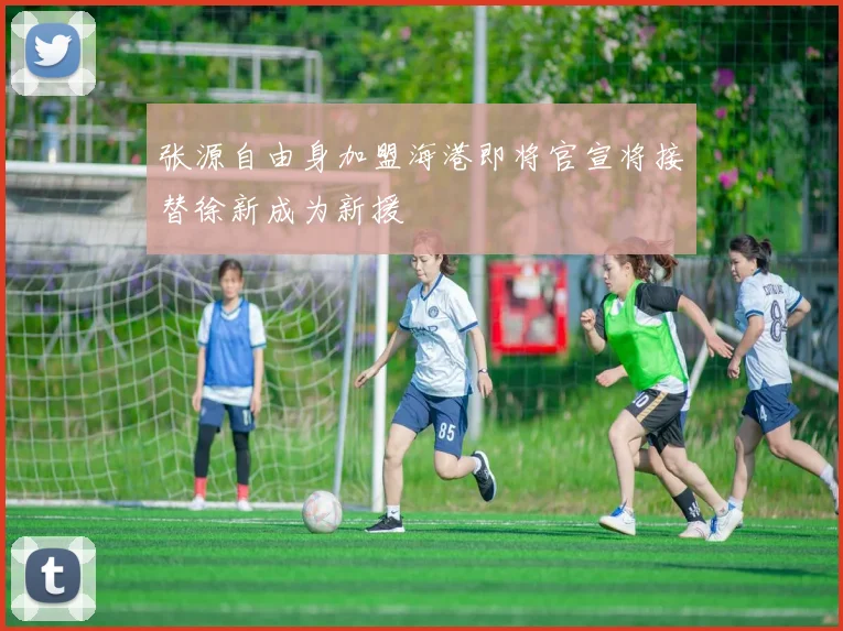 张源自由身加盟海港即将官宣将接替徐新成为新援