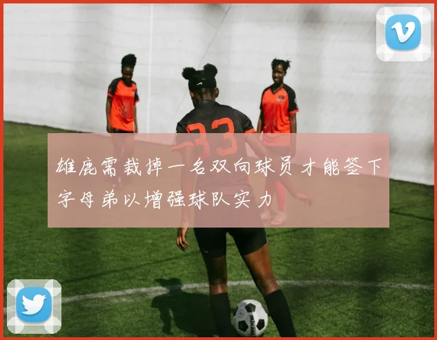 雄鹿需裁掉一名双向球员才能签下字母弟以增强球队实力