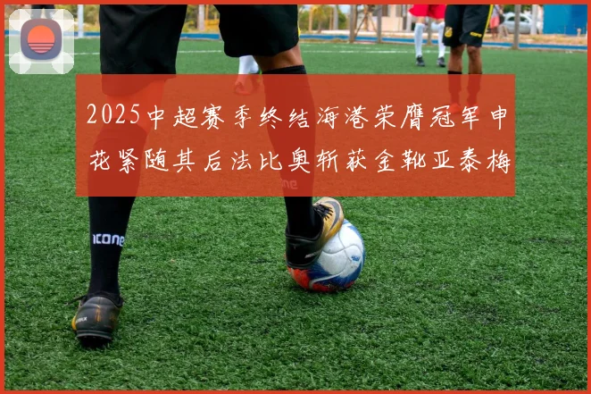 2025中超赛季终结海港荣膺冠军申花紧随其后法比奥斩获金靴亚泰梅州遗憾降级