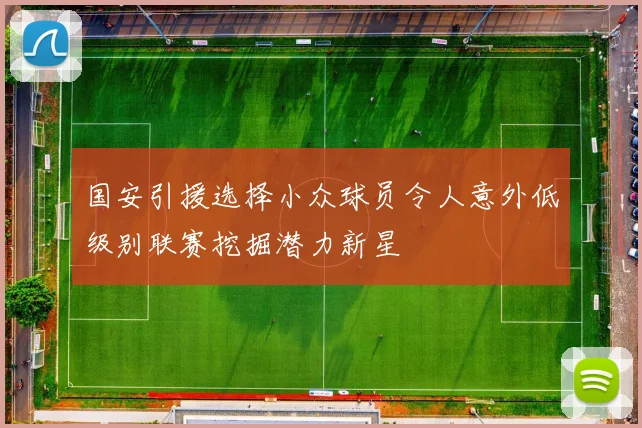 国安引援选择小众球员令人意外低级别联赛挖掘潜力新星