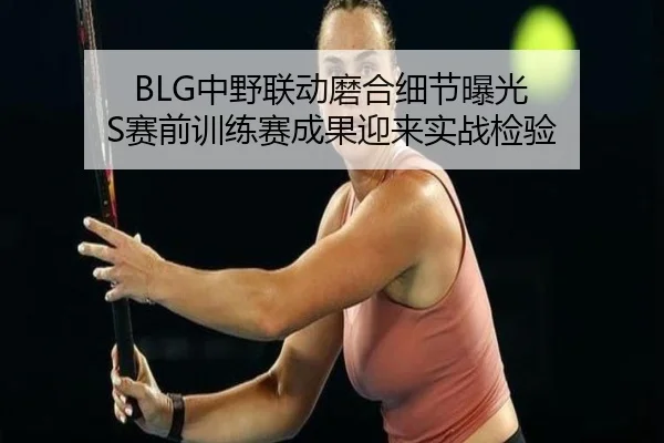 BLG中野联动磨合细节曝光 S赛前训练赛成果迎来实战检验 | huobosports